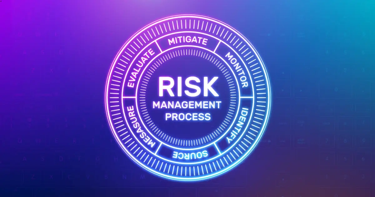 The Risk Management Process 