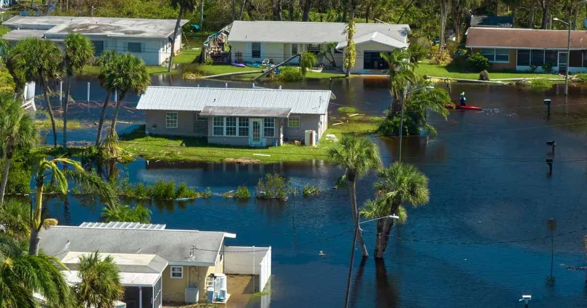 Flood Recovery Consultant