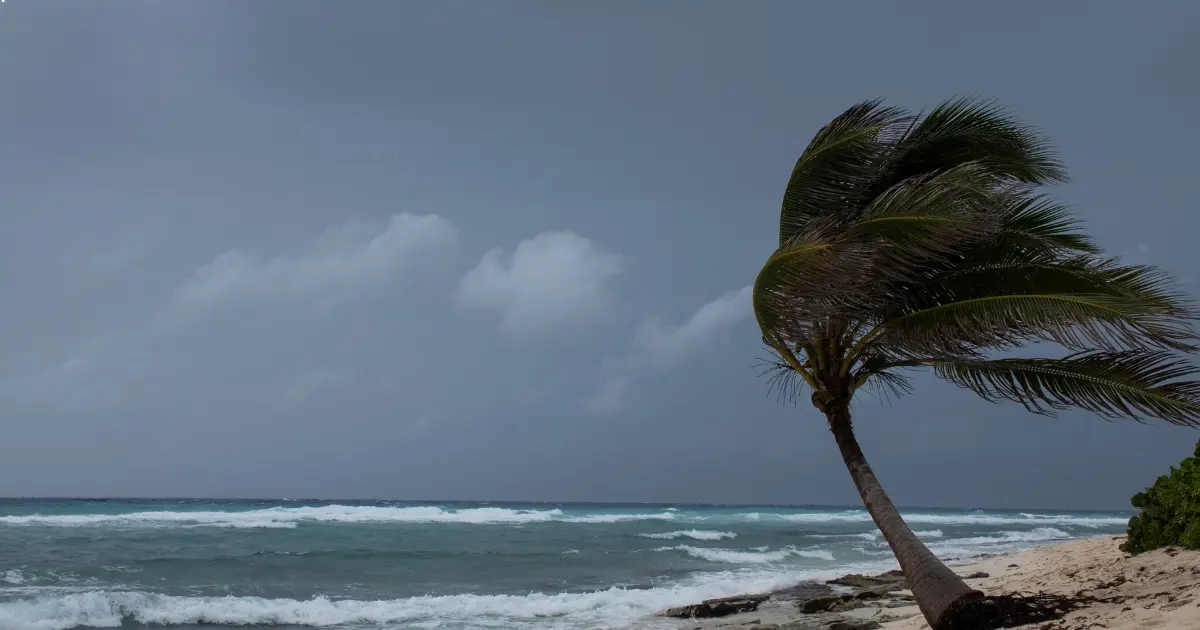 Hurricane Beryl's Path and Formation 