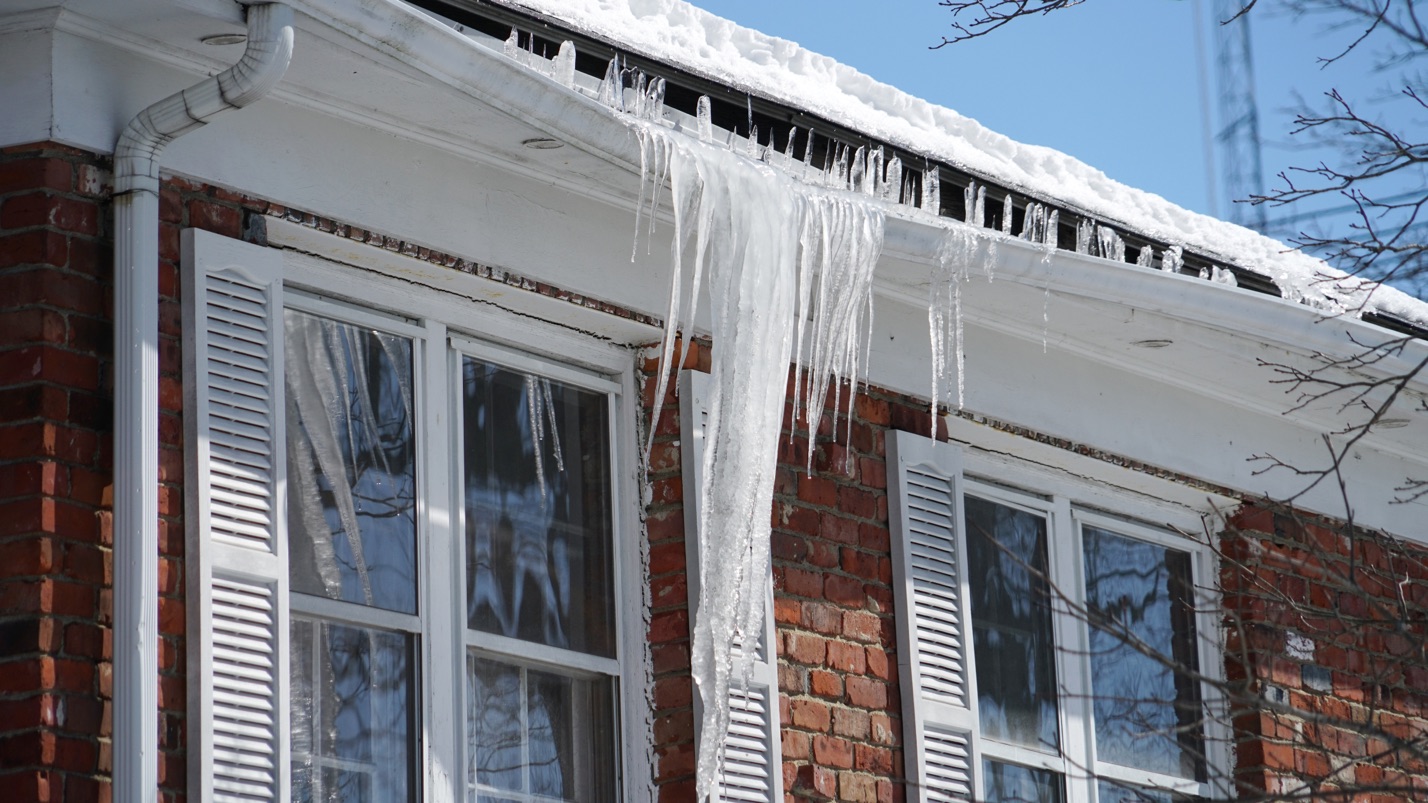 Freeze storm damage